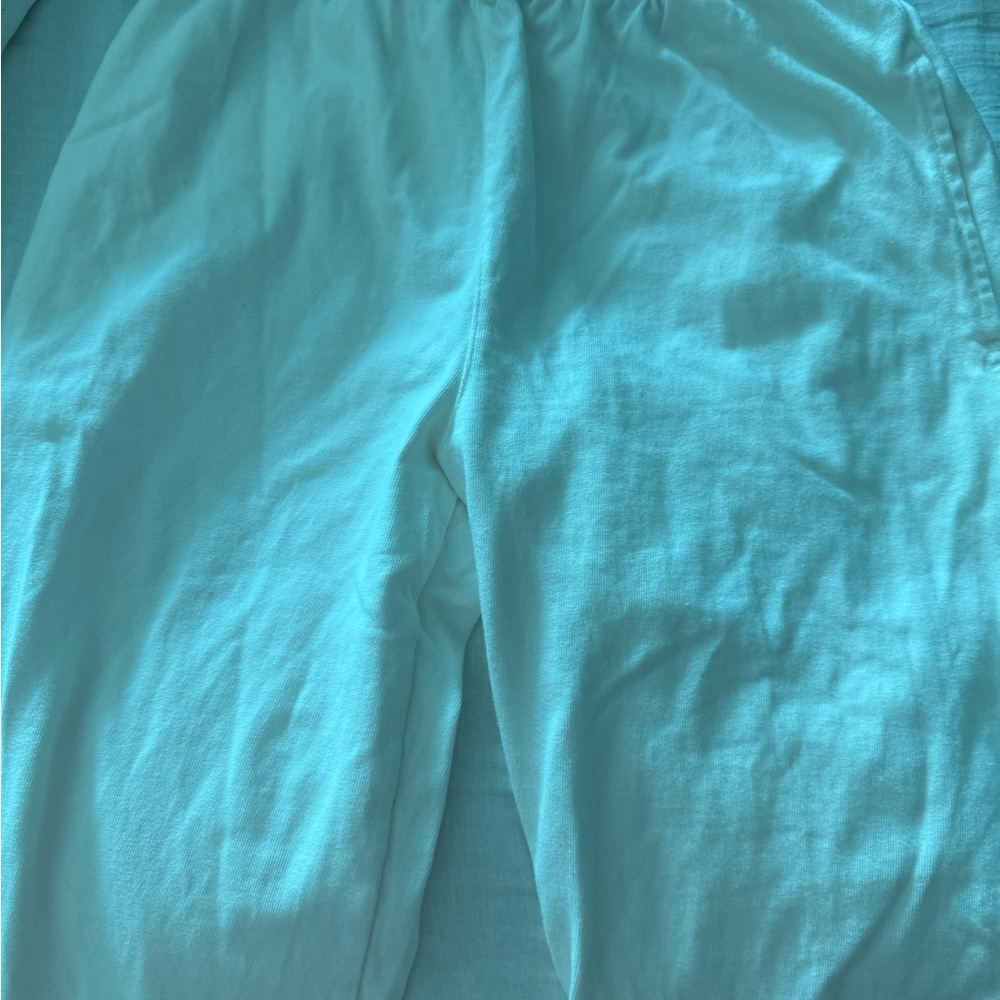 Brandy Melville Sky Blue Joggers